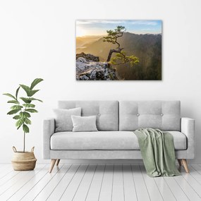 Foto obraz szklany Sokolica Pieniny