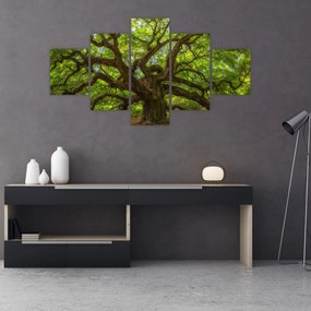 Obraz - Zielone drzewo (125x70 cm)