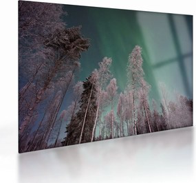 Obraz na szkle zorzy polarnej nad zamarzniętymi drzewami (70x50 cm)