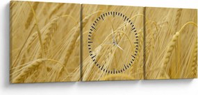 Obraz - Jęczmień (z zegarem) (90x30 cm)