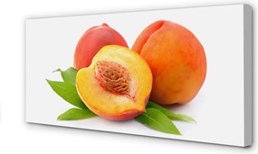 Zdjęcie na płótnie Złocista Słodka Morela