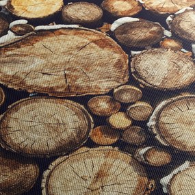 Obraz - Drewno w śniegu (170x50 cm)
