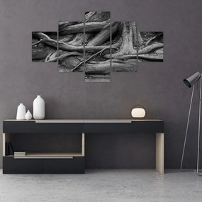 Obraz - Korzenie drzewa (125x70 cm)