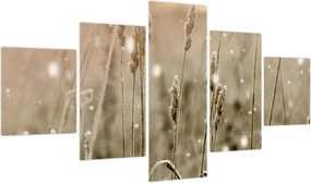 Obraz - Harmonious Meadow (125x70 cm)