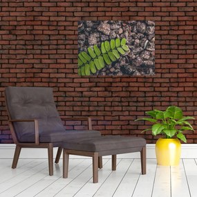 Obraz zielonej rośliny (70x50 cm)