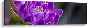 Obraz kwiatu (170x50 cm)