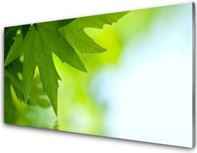 Szkło Dekoracyjne do Kuchni Soczyste Zielone Liście