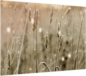 Obraz na szkle - Harmonious Meadow (70x50 cm)