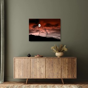 Obraz na szkle - Księżyc oświetlający noc (70x50 cm)