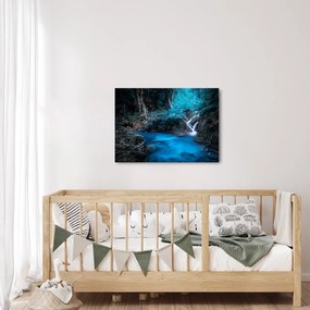 Obraz - Magiczna noc w tropikalnym lesie (70x50 cm)