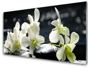 Obraz Szklany Kwiat Orchidea Roślina