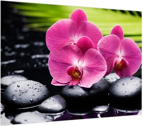Obraz na szkle - Różowe orchidee z liściem palmy (70x50 cm)