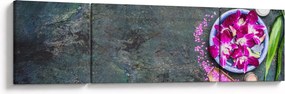 Obraz - Wellness (170x50 cm)