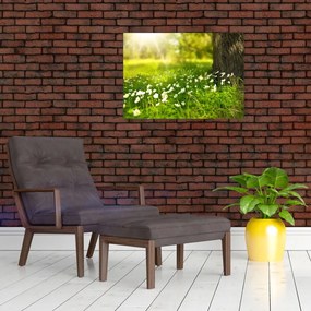 Obraz polany i kwiatów (70x50 cm)