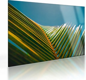 Obraz na szkle - Detal liścia palmowego (70x50 cm)
