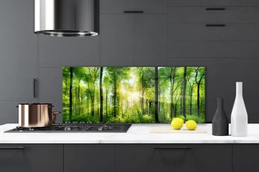 Panel Kuchenny Ścieżka Wśród Drzew