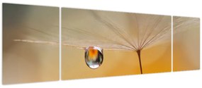 Obraz - Makro kwiat (170x50 cm)