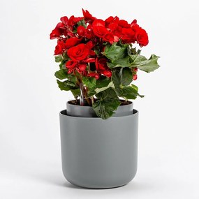 Plastia Doniczka samonawadniająca Tolita szary, śr. 19 cm, śred. 19 cm