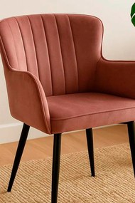 Aksamitne krzeso Dalye