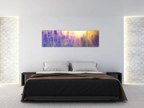 Obraz - Lawenda (170x50 cm)