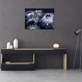 Obraz na szkle - owoce z kroplami wody (70x50 cm)