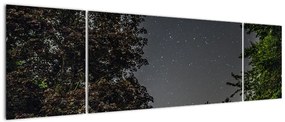 Obraz nocnego nieba (170x50 cm)