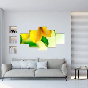 Obraz cytryn (125x70 cm)