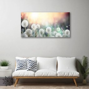 Obraz canvas Lekkość Polnych Dmuchawców