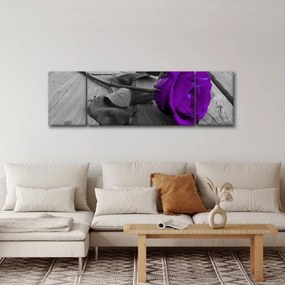 Obraz - Fioletowa róża z zieloną łodygą (170x50 cm)