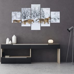 Obraz - Wilki w górach (125x70 cm)