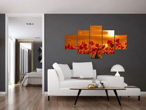 Obraz kwitnącego pola z tulipanami (125x70 cm)