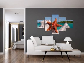 Obraz rozgwiazdy (125x70 cm)