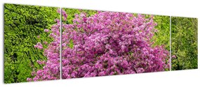 Obraz kwitnącego drzewa na łące (170x50 cm)