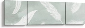 Obraz - Białe pióra (170x50 cm)