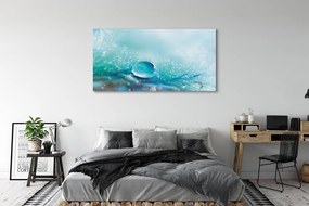 Obraz drukowany na płótnie Abstrakcyjna Kropla Makro