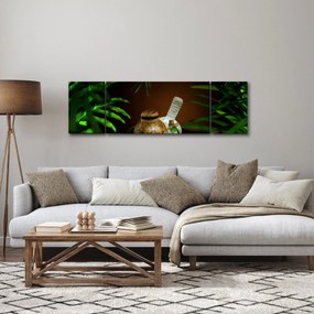 Obraz rzeczy spa (170x50 cm)