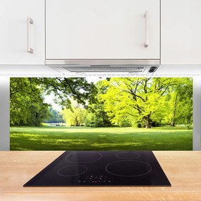 Panel Szklany Parkowa Aleja w Słońcu