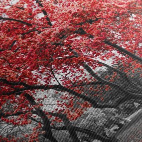 Obraz - Czerwone drzewa, Central Park, New York (170x50 cm)