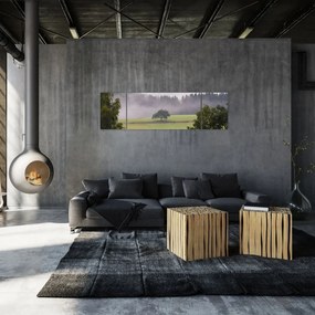 Obraz łąki z drzewem (170x50 cm)