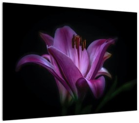Obraz lilii (70x50 cm)