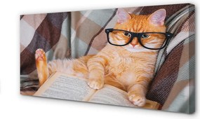 Zdjęcie na płótnie Kot "Czytający" Książkę