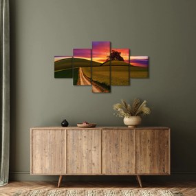 Obraz pola i kolorowego nieba (125x70 cm)
