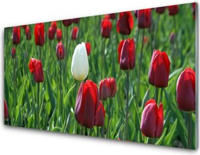Panel Szklany Romantyczny Ogród Tulipanowy
