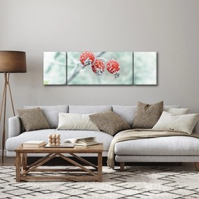 Obraz mrożonych owoców dzikiej róży (170x50 cm)