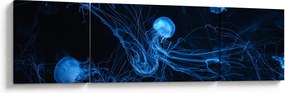 Obraz - Meduza (170x50 cm)