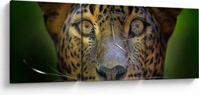 Obraz - Portret lamparta, Sri Lanka (z zegarem) (90x30 cm)
