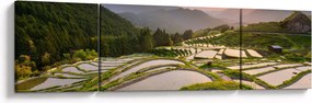 Obraz - Tarasy ryżowe (170x50 cm)