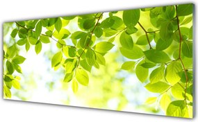 Szkło do Kuchni na Ścianę Świeże Zielone Liście