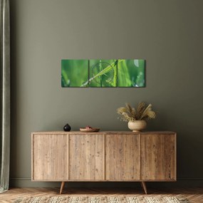 Obraz kropli rosy (z zegarem) (90x30 cm)