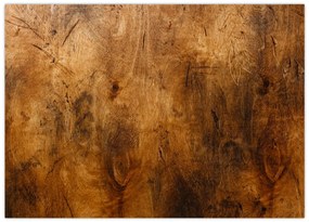 Obraz - Detal drewna (70x50 cm)